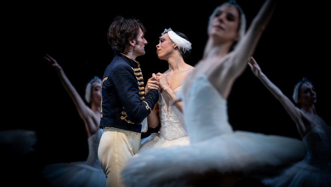 I just saw Swan Lake for the first time — now I have questions