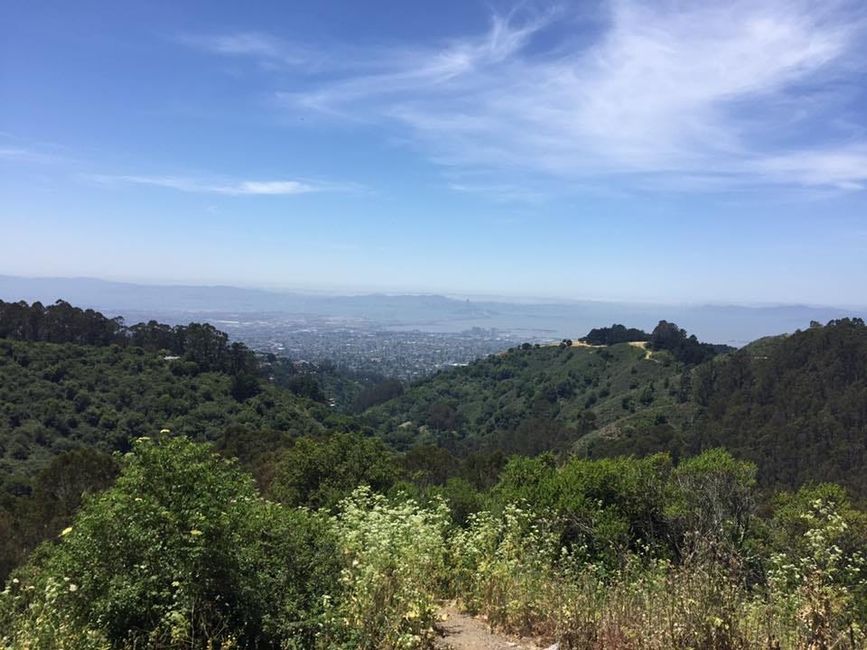 Eighteen Unique Places to Go in the Bay Area in 2018