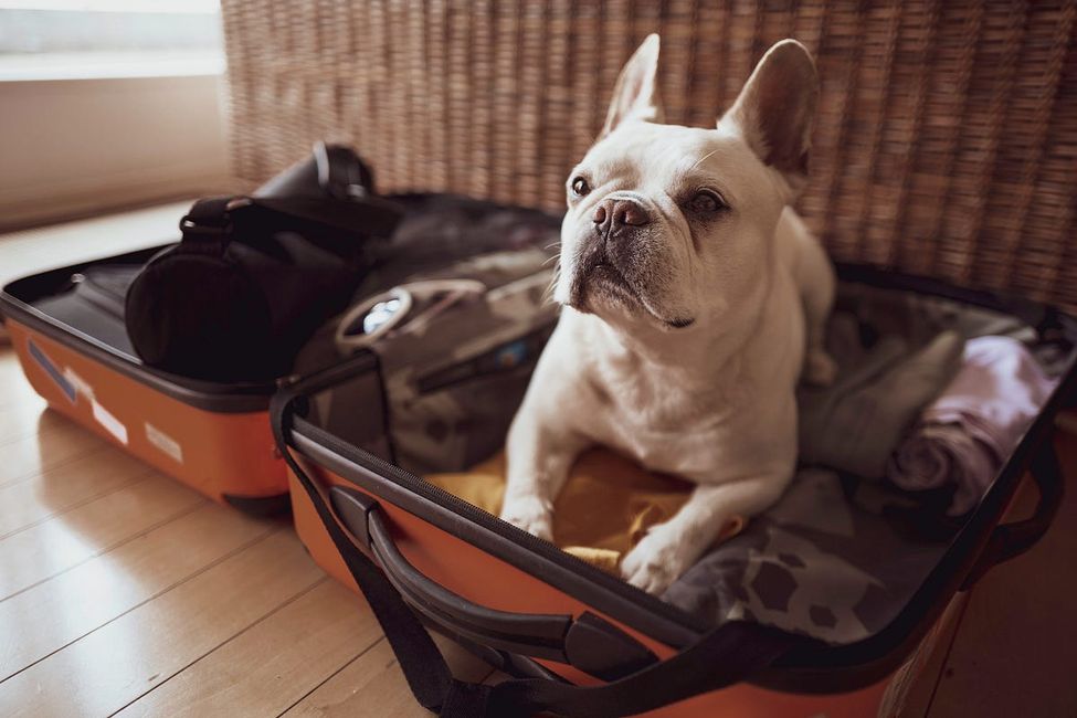 On the Things You Carry and the Things You Leave
