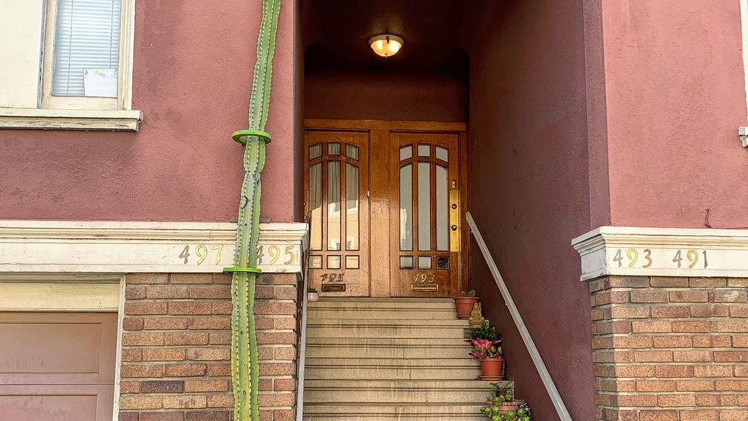 My Favorite Corner of SF: Anza and Fourth Avenue in the Inner Richmond