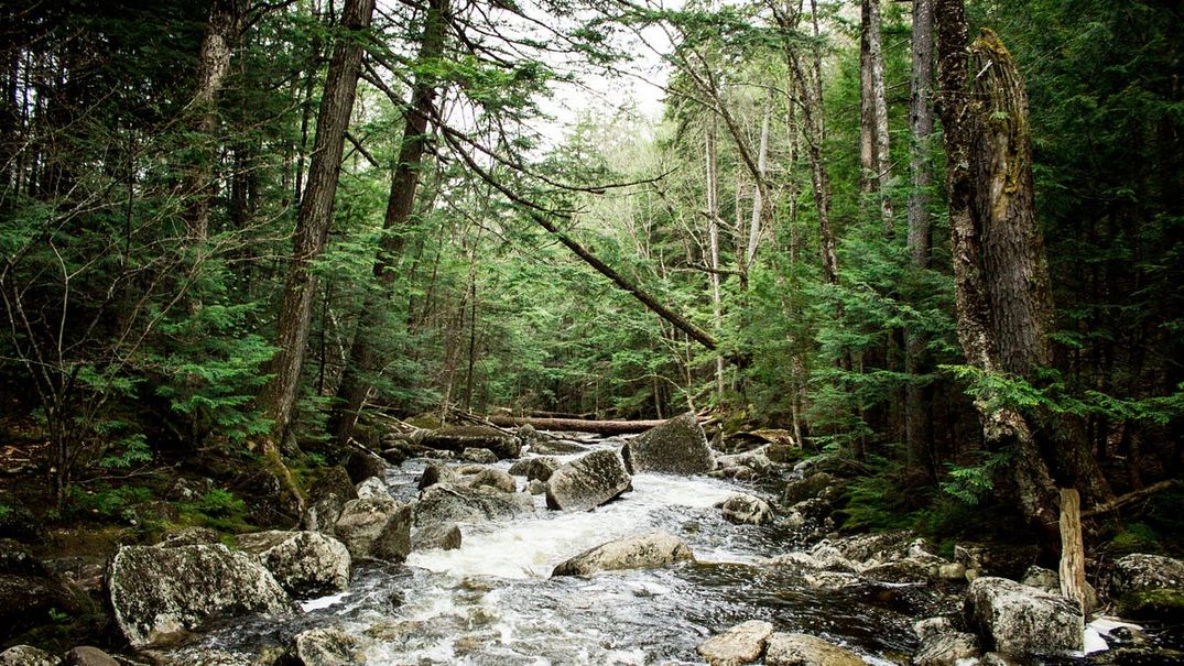 The Best Hidden Waterways in San Francisco