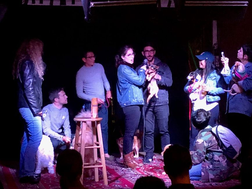 All the Bay Area Doggo Events for the Borkin’ Best Time