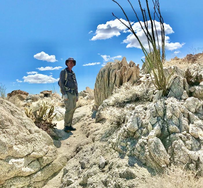 A Soul-Stirring Ode to Hiking the Anza-Borrego Desert