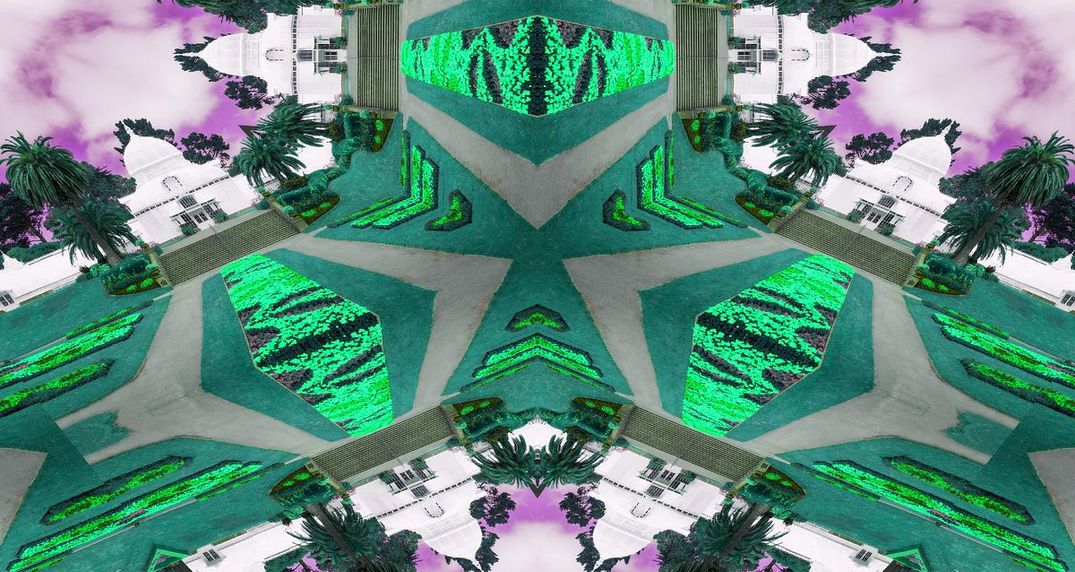 Took Acid and Walked Through Golden Gate Park