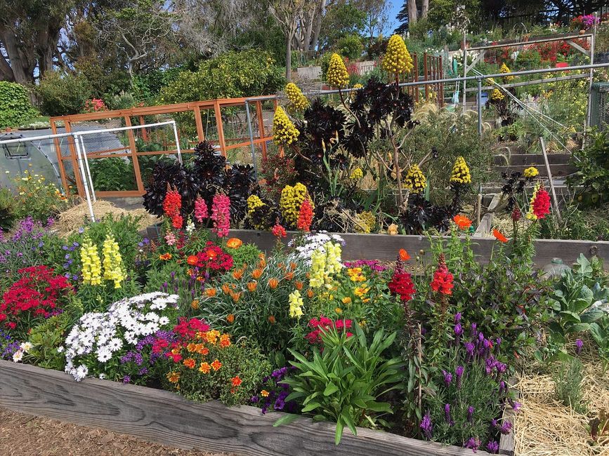 San Francisco’s Secret Garden of Solitude