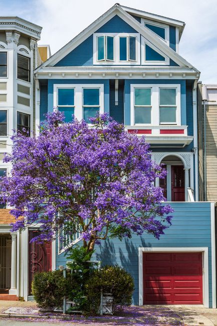 It’s Time For Me to Leave San Francisco
