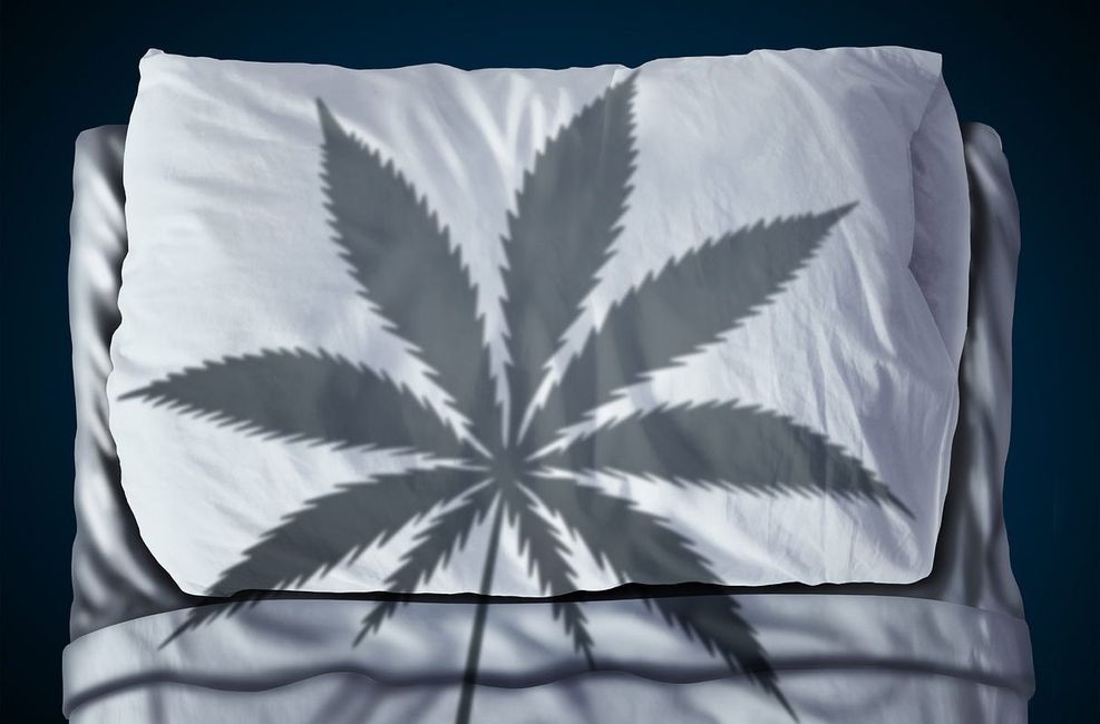 Papa and Barkley’s New Sleep ‘Releaf’ Line Proves Full-Spectrum Cannabis Is Key to Getting Better Sleep