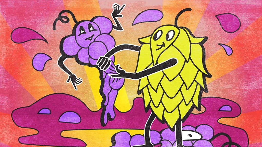 The Newest Beer Trend Is Putting Wine Grapes in Beer