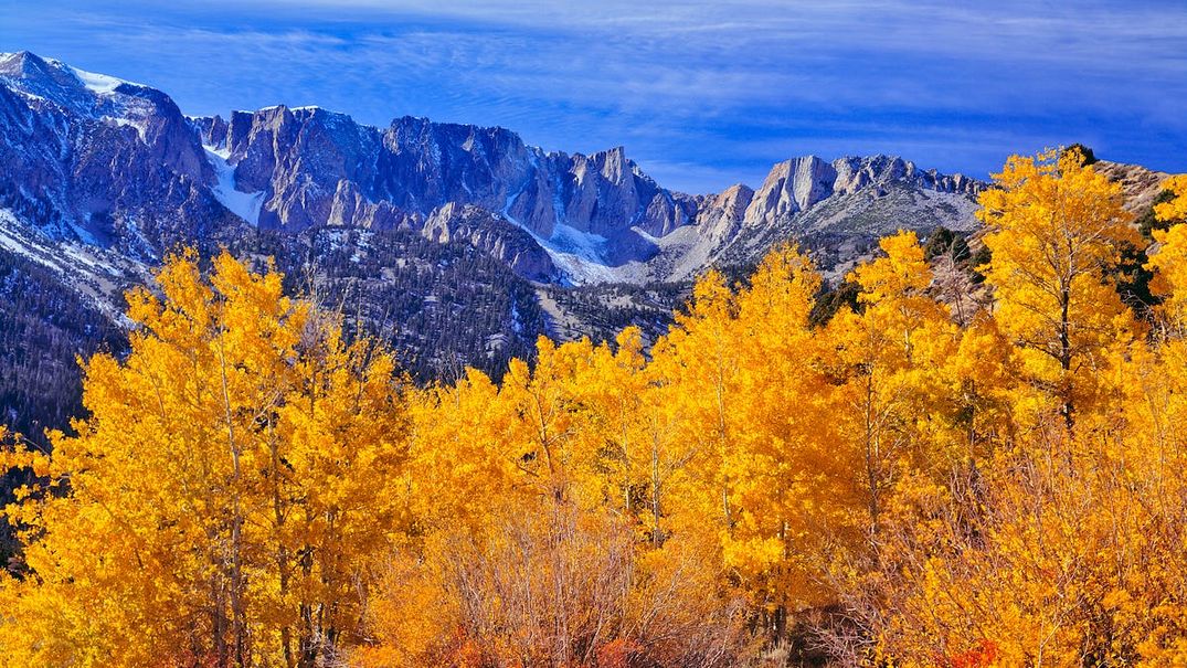 Where Can You Find California’s Fall Foliage? This Site Will Tell You.