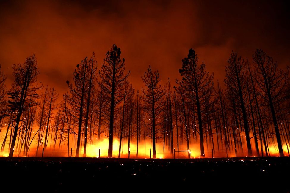 I Lost My Friend in a Firestorm. Then a Massive Forest Fire Almost Burned Down My Brother’s House.