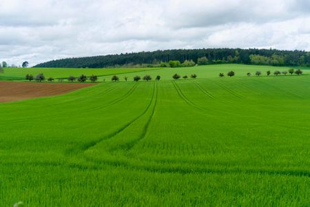 Image of: Go Ahead — Eat Genetically Modified Food. It’s Not Bad For You.