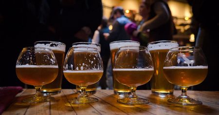Image of: Beer Nerds: Is Pliny the Younger Really Worth the Wait?