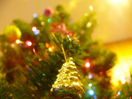 Image of: Where to Buy a Christmas Tree by Neighborhood in San Francisco