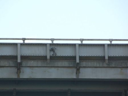 Image of: Have You Seen the Bay Bridge Troll?