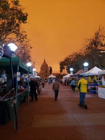 Image of: Despite Fires and Covid, the Tenderloin Farmers Market Endures
