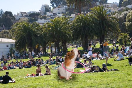 Image of: By Jessica Saia