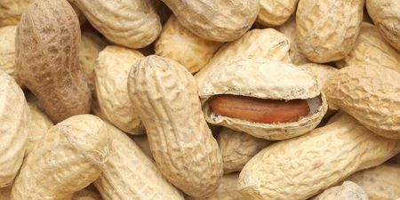 Image of: RIP KK Cafe, Long Live Peanut Milk