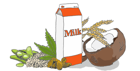 Image of: A Complete Guide to Milk Alternatives