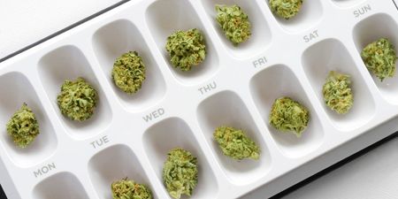 Image of: SF Gets Weed of the Month Club Because Of Course