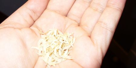 Image of: Just Stop Clipping Your Nails on the Bus