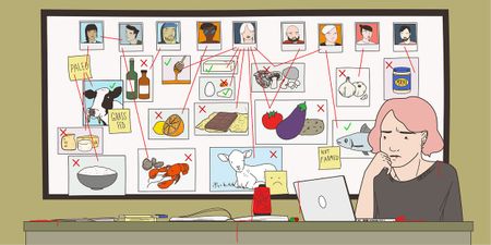 Image of: The Dietary Dramas You Go through to Throw a Dinner Party