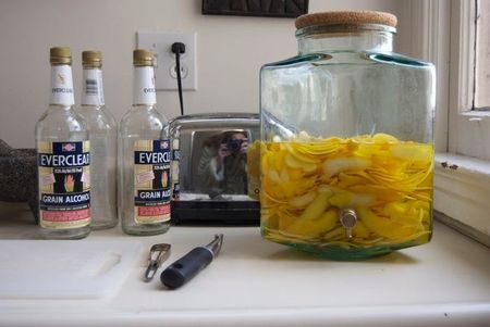 Image of: When Life Gives You Lemons, Make Limoncello!