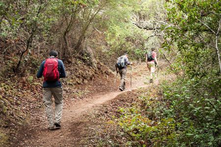 Image of: Why Don’t More Minorities Hike?