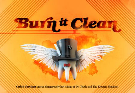 Image of: Burn It Clean