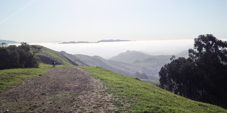 Image of: The East Bay is a Dog’s Paradise