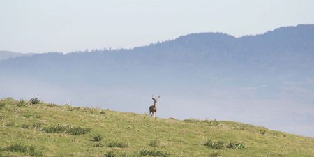 Image of: Point Reyes is One of the Most Beautiful Places in California