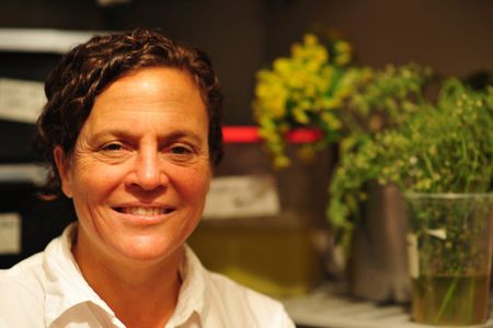 Image of: “Top Chef” Master Traci Des Jardins on Hangover Food, Burritos and the Food Scene