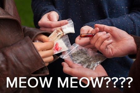 Image of: What the Hell is Meow Meow? 2014 Drug Guide