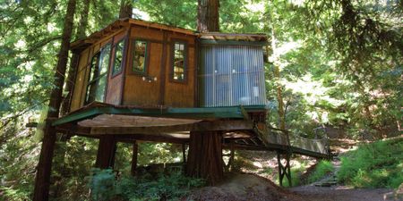 Image of: Treehouses, Domes, & Other Alt-Lodging in Northern CA