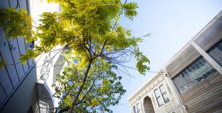 Image of: San Francisco Officially Sucks For the Middle Class