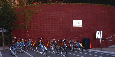 Image of: Google May Expand Bay Area Workforce by 30K