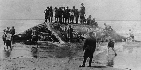Image of: Amazing Private Collection of 120-Year-Old Photos of Western SF
