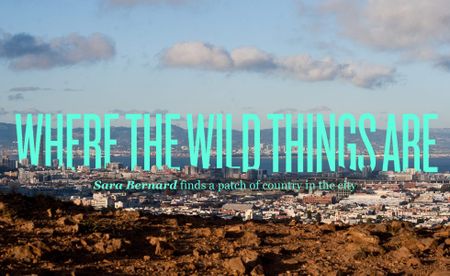 Image of: Places to Get a Little Nature in San Francisco