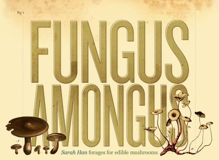 Image of: Fungus Amongus