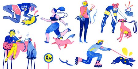 Image of: These are the Places to Take Your Dog in SF