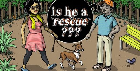 Image of: The 7 Kinds of Dog Shaming We See in San Francisco