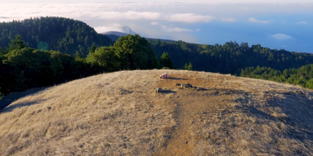 Image of: NSFW: Drone-Filmed Porn Was Made in SF