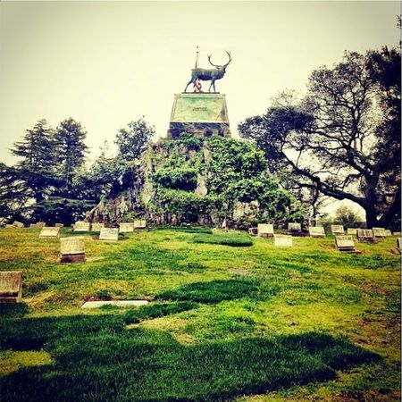 Image of: Best Nature Getaways in Oakland