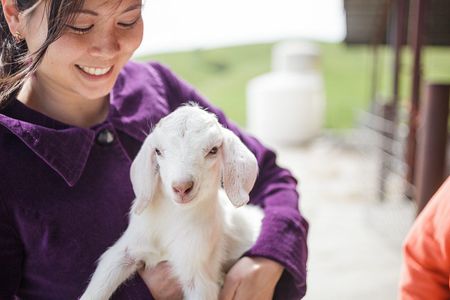 Image of: 4 Awesome San Francisco Food Bloggers