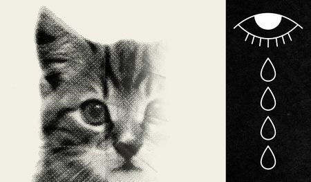 Image of: The Agony of Putting Your First Pet to Sleep