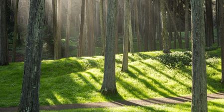 Image of: A Guide to San Francisco’s Best Running Trails