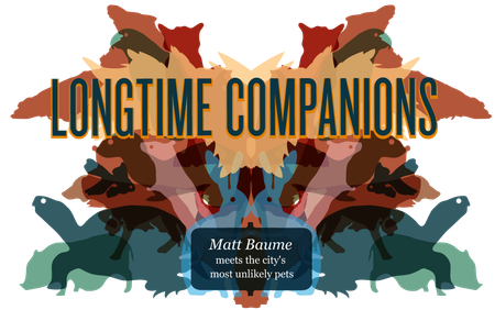 Image of: Longtime Companions