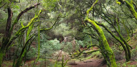 Image of: A Guide to the East Bay’s Best Running Trails