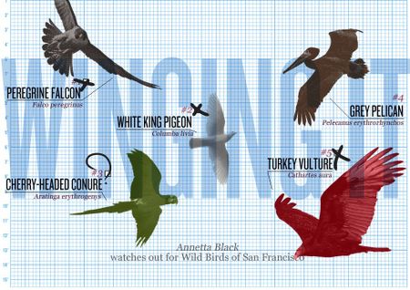 Image of: Winging It