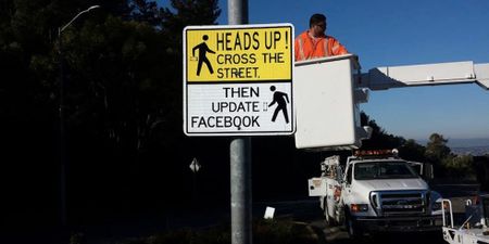 Image of: Oh Snap! Hayward Wins with the Sassiest Street Signs in America