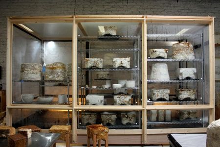 Image of: The Freaky Fungal Furniture of Phil Ross